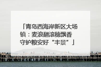 青岛西海岸新区大场镇：麦浪翻滚穗飘香 守护粮安好“丰景”