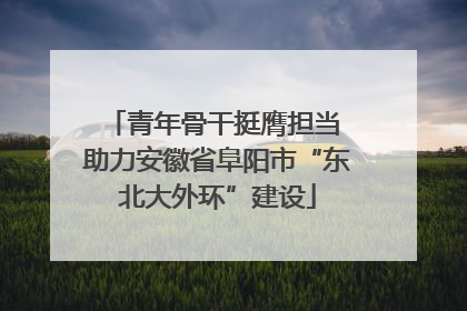 青年骨干挺膺担当 助力安徽省阜阳市“东北大外环”建设