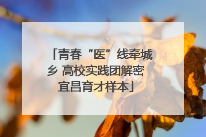青春“医”线牵城乡 高校实践团解密宜昌育才样本