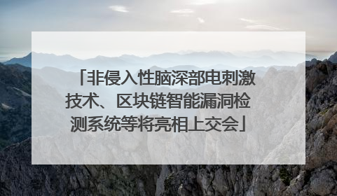 非侵入性脑深部电刺激技术、区块链智能漏洞检测系统等将亮相上交会