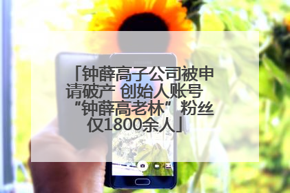 钟薛高子公司被申请破产 创始人账号“钟薛高老林”粉丝仅1800余人