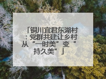 铜川宜君东湖村：党群共建让乡村从“一时美”变“持久美”