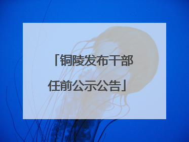 铜陵发布干部任前公示公告
