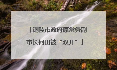 铜陵市政府原常务副市长何田被“双开”