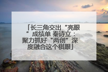 长三角交出“亮眼”成绩单 秦诗立：聚力抓好“两创”深度融合这个棋眼