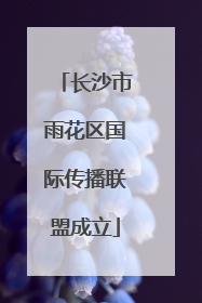 长沙市雨花区国际传播联盟成立