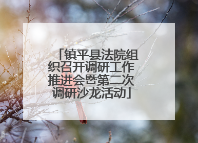 镇平县法院组织召开调研工作推进会暨第二次调研沙龙活动