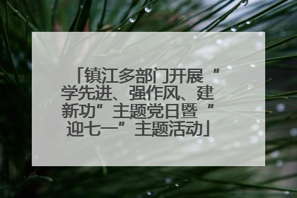 镇江多部门开展“学先进、强作风、建新功”主题党日暨“迎七一”主题活动