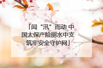 闻“汛”而动 中国太保产险丽水中支筑牢安全守护网