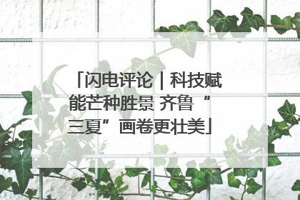 闪电评论｜科技赋能芒种胜景 齐鲁“三夏”画卷更壮美