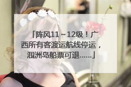 阵风11～12级！广西所有客渡运航线停运，涠洲岛船票可退……