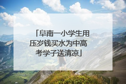 阜南一小学生用压岁钱买水为中高考学子送清凉
