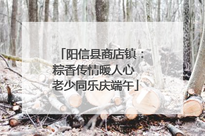 阳信县商店镇：粽香传情暖人心 老少同乐庆端午