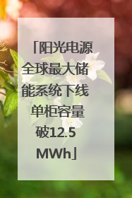 阳光电源全球最大储能系统下线 单柜容量破12.5MWh