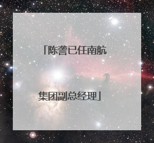 陈詟已任南航集团副总经理