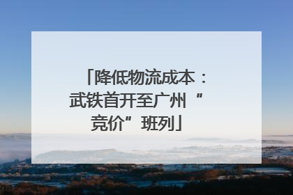 降低物流成本：武铁首开至广州“竞价”班列