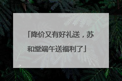 降价又有好礼送，苏和堂端午送福利了