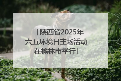 陕西省2025年六五环境日主场活动在榆林市举行