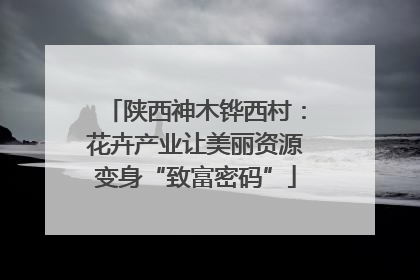 陕西神木铧西村：花卉产业让美丽资源变身“致富密码”