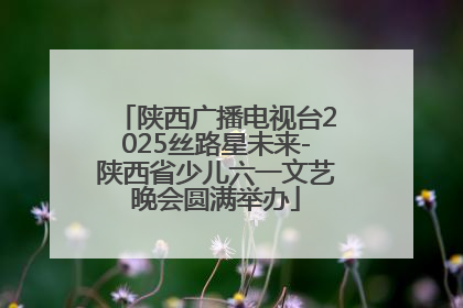 陕西广播电视台2025丝路星未来-陕西省少儿六一文艺晚会圆满举办