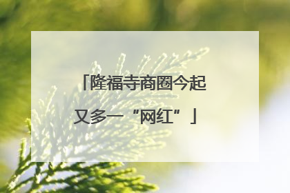 隆福寺商圈今起又多一“网红”