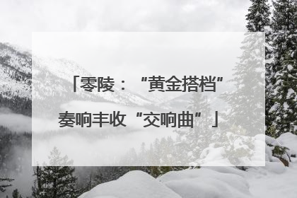 零陵：“黄金搭档”奏响丰收“交响曲”