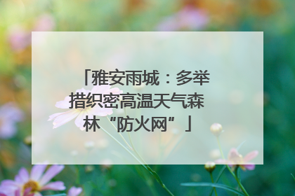 雅安雨城：多举措织密高温天气森林“防火网”