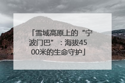 雪域高原上的“宁波门巴”：海拔4500米的生命守护