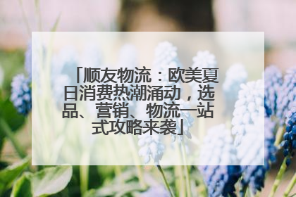 顺友物流：欧美夏日消费热潮涌动，选品、营销、物流一站式攻略来袭