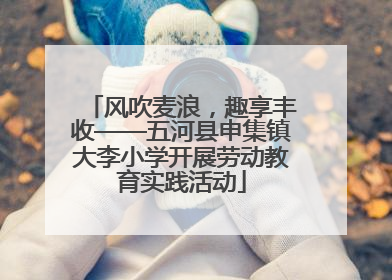风吹麦浪，趣享丰收——五河县申集镇大李小学开展劳动教育实践活动