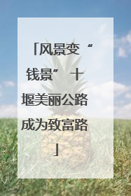 风景变“钱景” 十堰美丽公路成为致富路