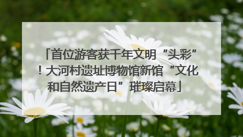 首位游客获千年文明“头彩”！大河村遗址博物馆新馆“文化和自然遗产日”璀璨启幕