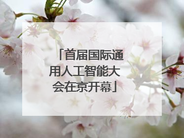 首届国际通用人工智能大会在京开幕