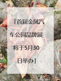 首届金凤汽车公园品牌展将于5月30日举办