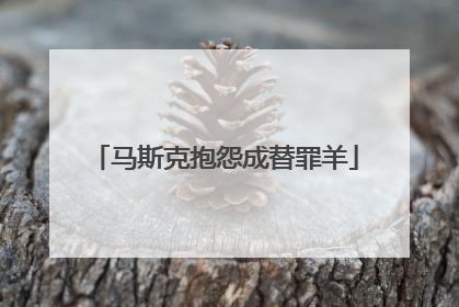 马斯克抱怨成替罪羊