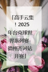高手云集！2025年台克球世界系列赛-德州齐河站开赛