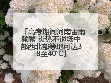 高考期间河南雷雨频繁 炎热不退场中部西北部等地可达38至40℃