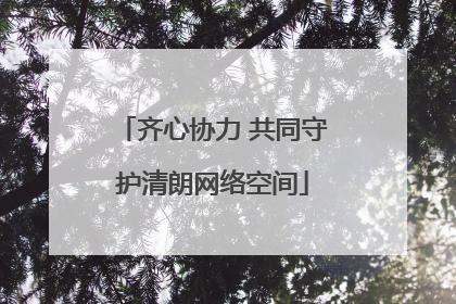 齐心协力 共同守护清朗网络空间