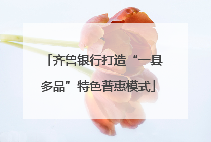 齐鲁银行打造“一县多品”特色普惠模式