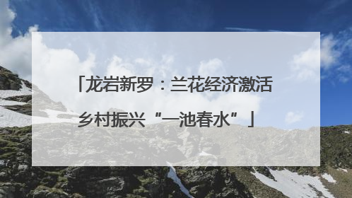 龙岩新罗：兰花经济激活乡村振兴“一池春水”
