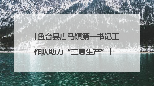 鱼台县唐马镇第一书记工作队助力“三夏生产”