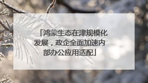鸿蒙生态在津规模化发展，政企全面加速内部办公应用适配
