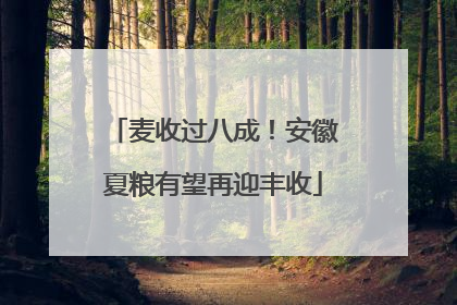 麦收过八成！安徽夏粮有望再迎丰收