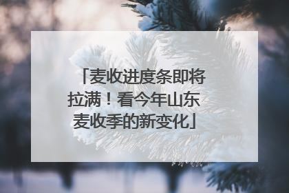 麦收进度条即将拉满！看今年山东麦收季的新变化