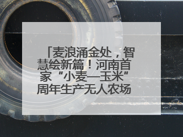 麦浪涌金处，智慧绘新篇！河南首家“小麦—玉米”周年生产无人农场喜迎丰收