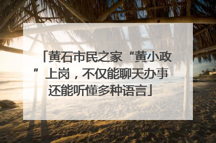 黄石市民之家“黄小政”上岗，不仅能聊天办事还能听懂多种语言