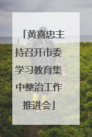 黄喜忠主持召开市委学习教育集中整治工作推进会
