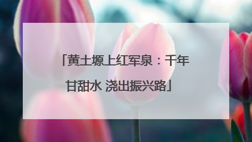 黄土塬上红军泉：千年甘甜水 浇出振兴路