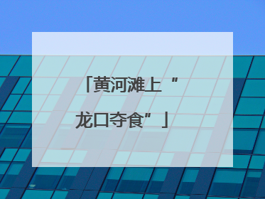 黄河滩上“龙口夺食”