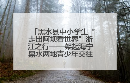 黑水县中小学生“走出阿坝看世界”浙江之行——架起海宁黑水两地青少年交往交流交融新桥梁